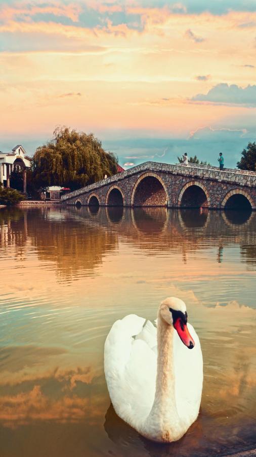 Ethno Village Stanisici Bijeljina Exteriér fotografie